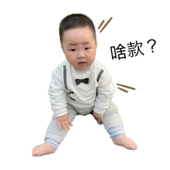 我三角眉我很圓我驕傲