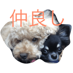 hibinoshasin