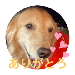 Mitofu_20210523153747