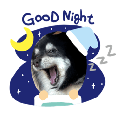 test_20210522230024