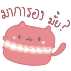 bokcat LINE stickers & emoji | LINE STORE