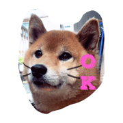 kawaisugiruwantyan