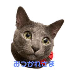 akiko_20210523154746