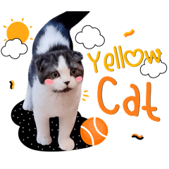 Yellow.cat