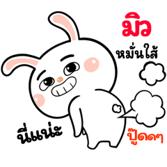 I'm&nbsp; &nbsp;Mew Rabbit cute Sticker V.1