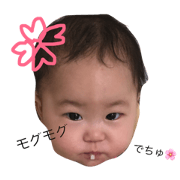 w cherry blossoms