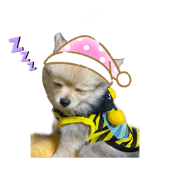 Arisa_20210523141100