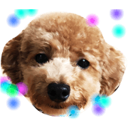 Hi! Lion