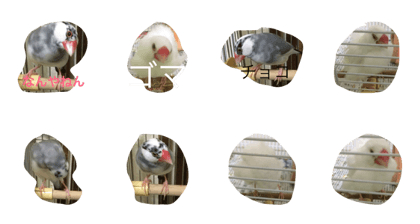 birds in Japanese
