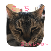 I am cocco