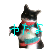coconyandayo2