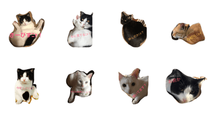 cats eye