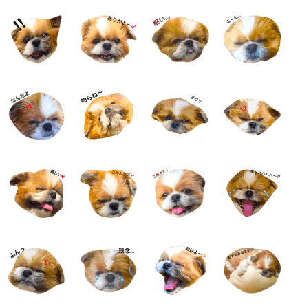 funny shizu atomu