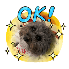 YUKARI_20210523140944