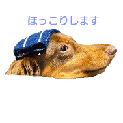 Relaxing dog and runaway dog
