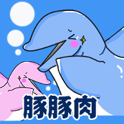 TUMMYTUMMYdolphin