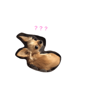 churros_chihuahua