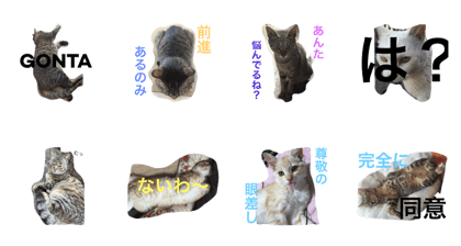nekonekoGONTA!!