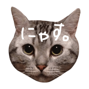UZURA