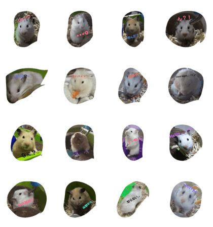 happyhamster