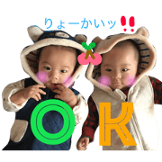 twinboy 2