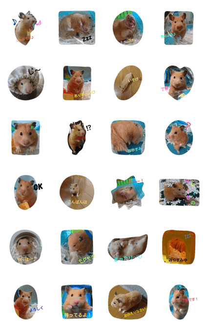 Hamster Shizuku
