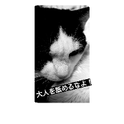 EDO_cat
