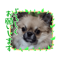 Raika_20210523165811