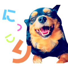 Smile_20210523184527