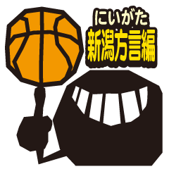 TeamFive BASKETBALL STICKER NIIGATA