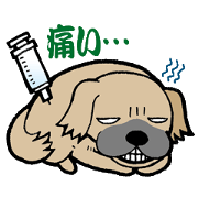 struggle dog,maron