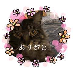 saori_20210523190134