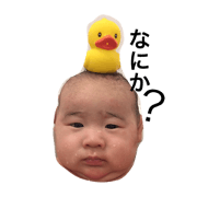 itoshinominibuta