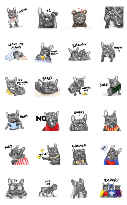 Bonsoir! Black French Bulldog
