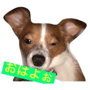 de-ru