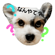 musanp