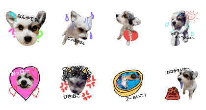 musanp