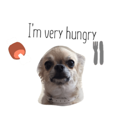 dog&dog1
