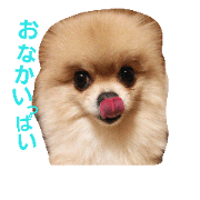 maron Diary