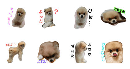 maron Diary