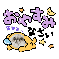 greeting cats in japan