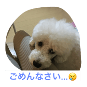 bob love