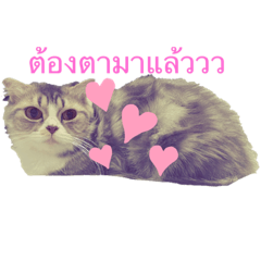 Catcat_20210523012129