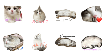 riry