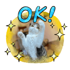 yukari_20210523152406