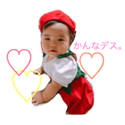 tomato kanna