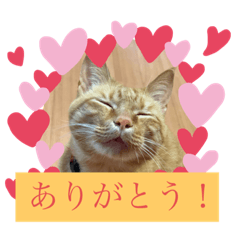 aoi_20210523212708