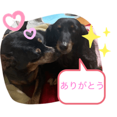 NATSUMI_20210523213415