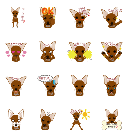 mamepin321*pinscher[gino.ver]