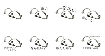 Chochinn-Anko